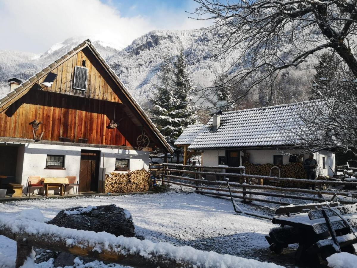 ボヒニュスカ・ビストリツァ Lizina Hiska House Bohinjヴィラ エクステリア 写真