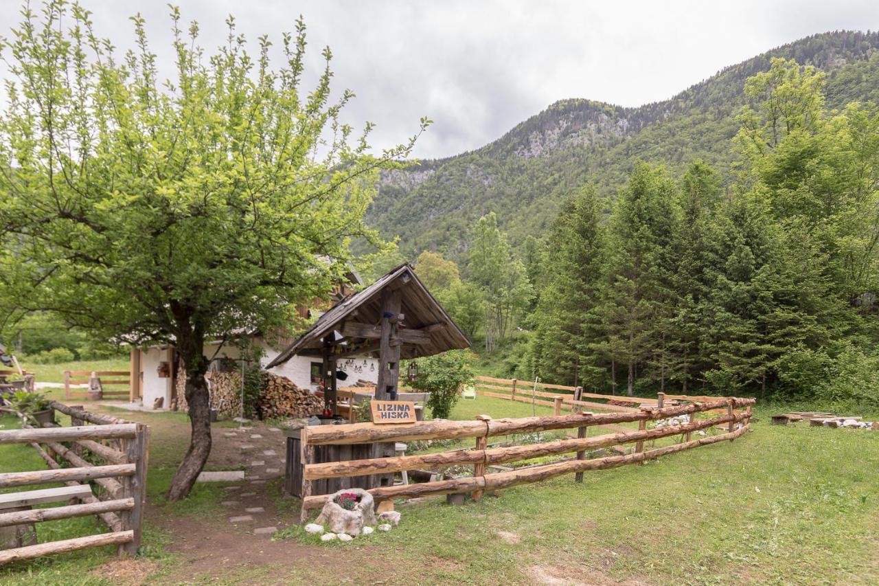 ボヒニュスカ・ビストリツァ Lizina Hiska House Bohinjヴィラ エクステリア 写真