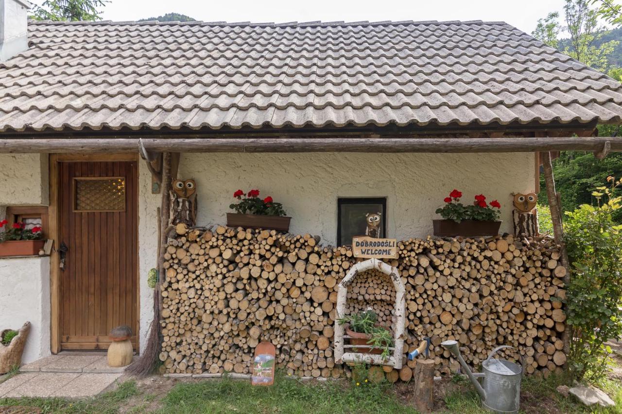 ボヒニュスカ・ビストリツァ Lizina Hiska House Bohinjヴィラ エクステリア 写真
