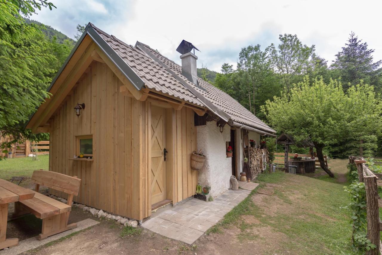 ボヒニュスカ・ビストリツァ Lizina Hiska House Bohinjヴィラ エクステリア 写真