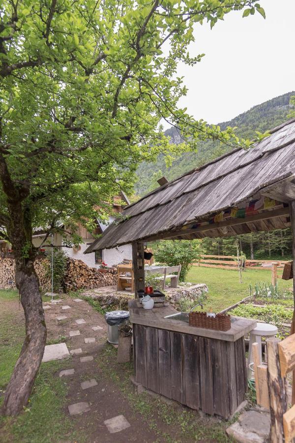 ボヒニュスカ・ビストリツァ Lizina Hiska House Bohinjヴィラ エクステリア 写真