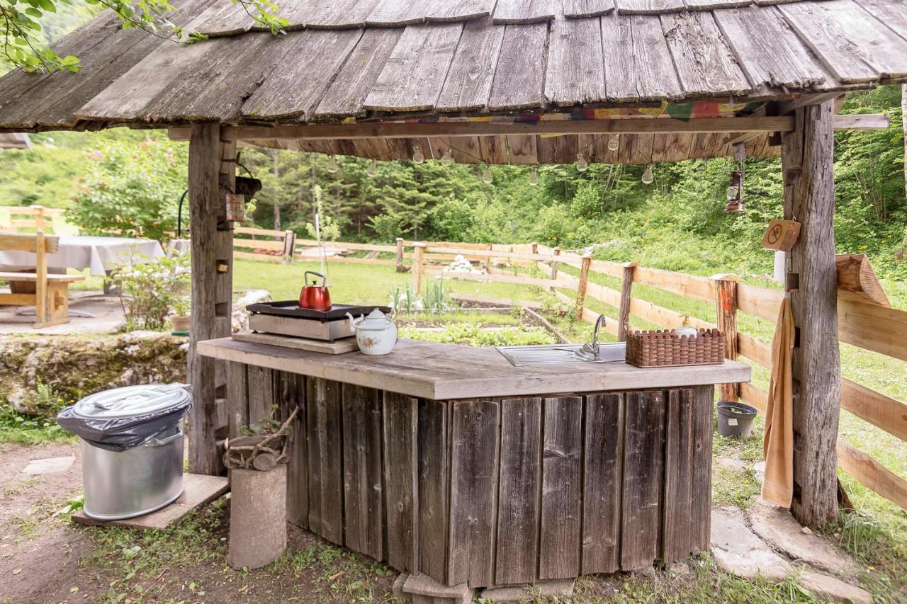 ボヒニュスカ・ビストリツァ Lizina Hiska House Bohinjヴィラ エクステリア 写真