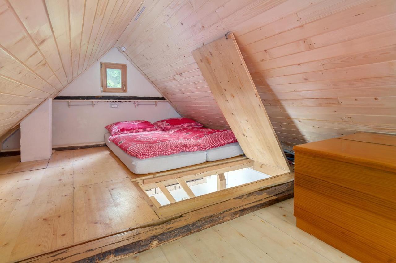 ボヒニュスカ・ビストリツァ Lizina Hiska House Bohinjヴィラ エクステリア 写真