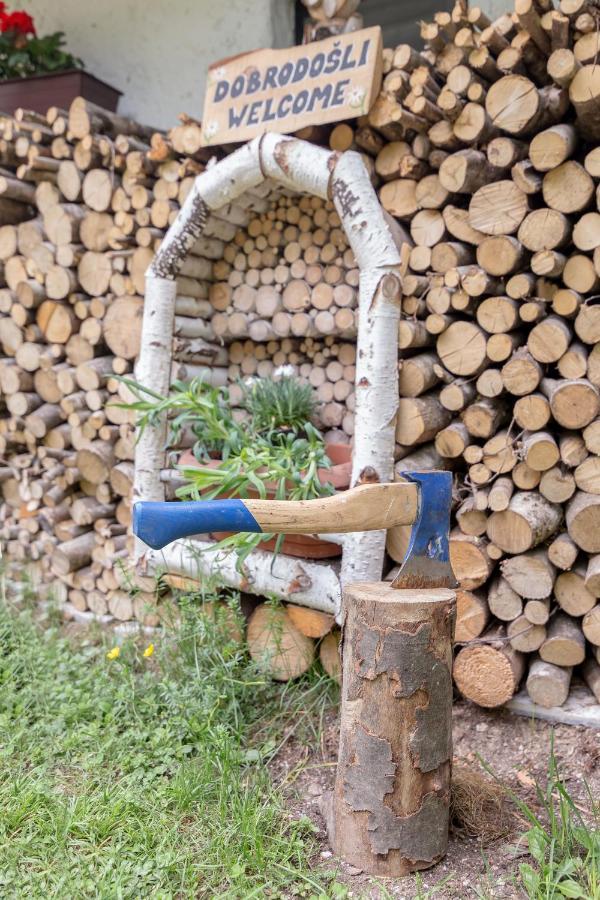 ボヒニュスカ・ビストリツァ Lizina Hiska House Bohinjヴィラ エクステリア 写真