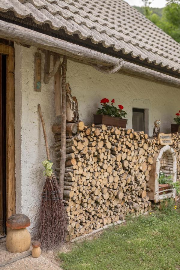 ボヒニュスカ・ビストリツァ Lizina Hiska House Bohinjヴィラ エクステリア 写真