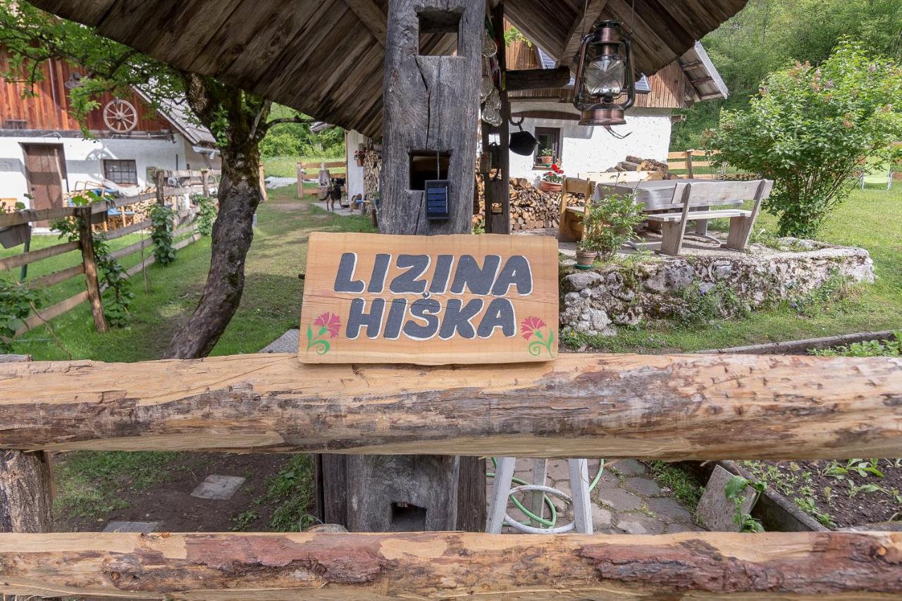 ボヒニュスカ・ビストリツァ Lizina Hiska House Bohinjヴィラ エクステリア 写真