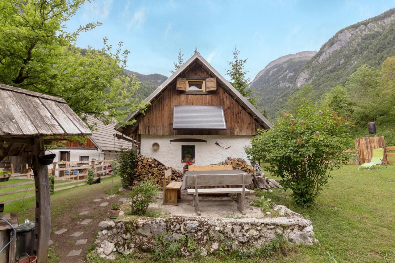 ボヒニュスカ・ビストリツァ Lizina Hiska House Bohinjヴィラ エクステリア 写真
