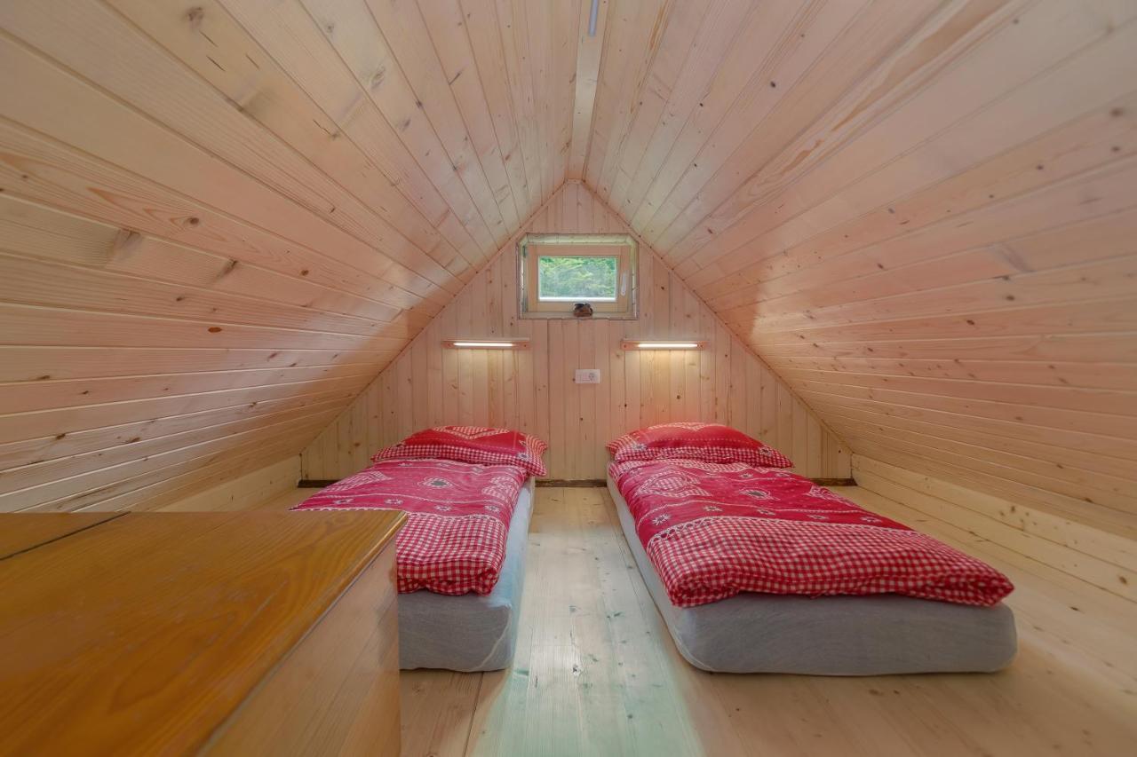 ボヒニュスカ・ビストリツァ Lizina Hiska House Bohinjヴィラ エクステリア 写真